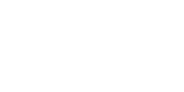 Chubb-logo-white-web
